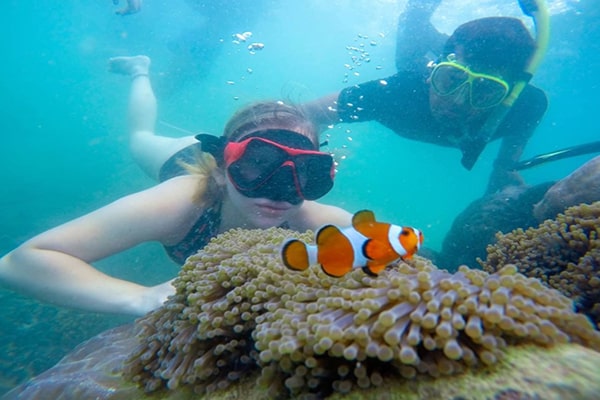 alam-bawah-laut-pulau-harapan-saat-snorkling